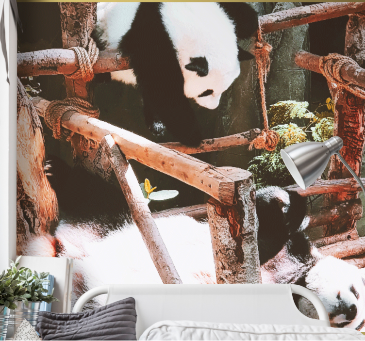Fototapete tiere panda spielszene - TenStickers