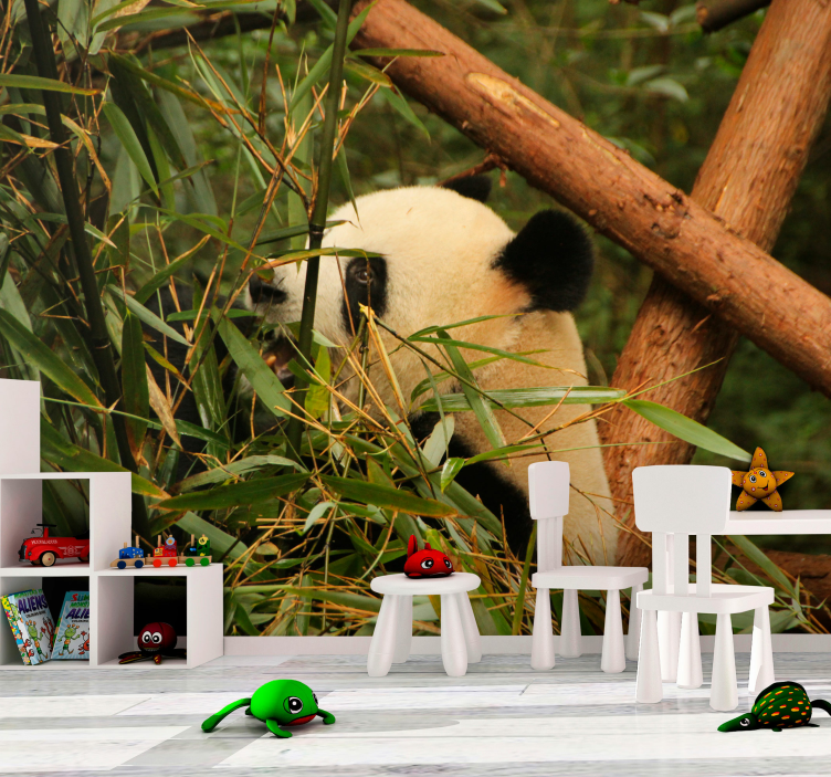 Fototapete Tiere panda zwischen bambus - TenStickers