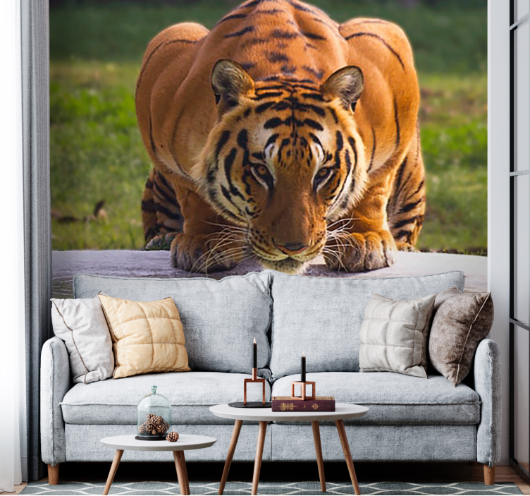 Fototapete tiere regal tiger pose - TenStickers