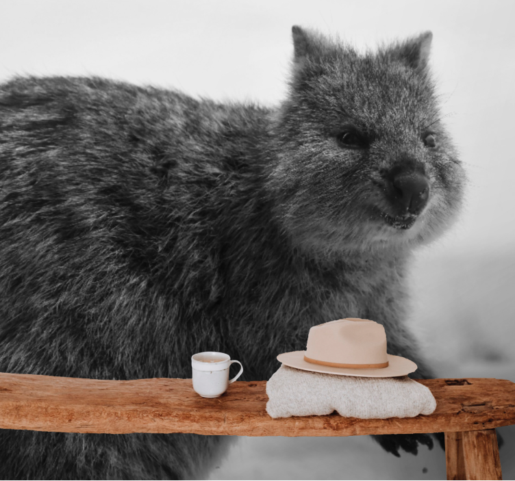 Fototapete tiere wombat nahaufnahme ausdruck - TenStickers