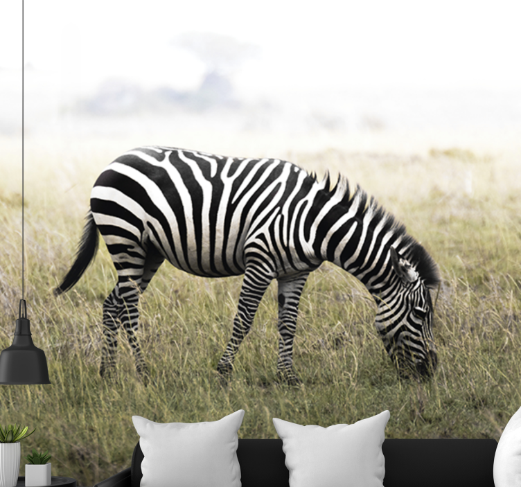 Fototapete tiere zebra friedlich grasen - TenStickers