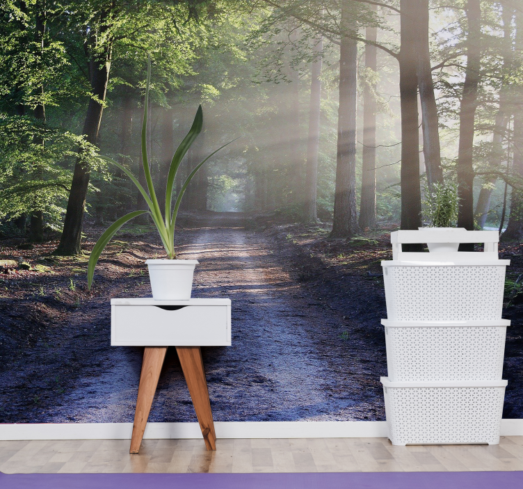 Fototapete Wald beleuchteter waldweg - TenStickers