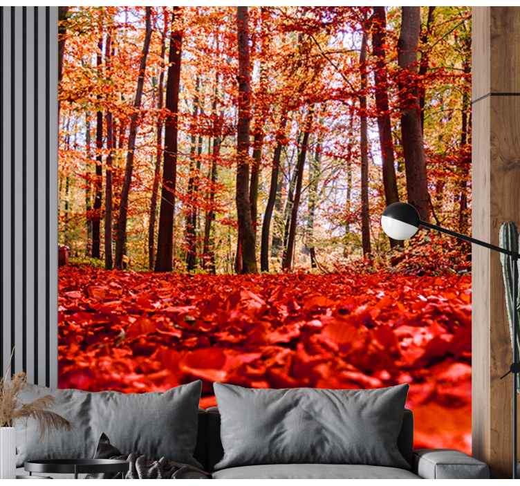 Fototapete Wald herbstlaubdach - TenStickers