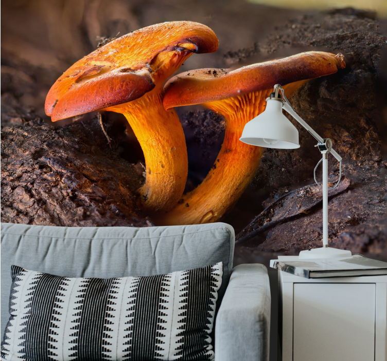 Fototapete wald mit pilzszene in der natur - TenStickers