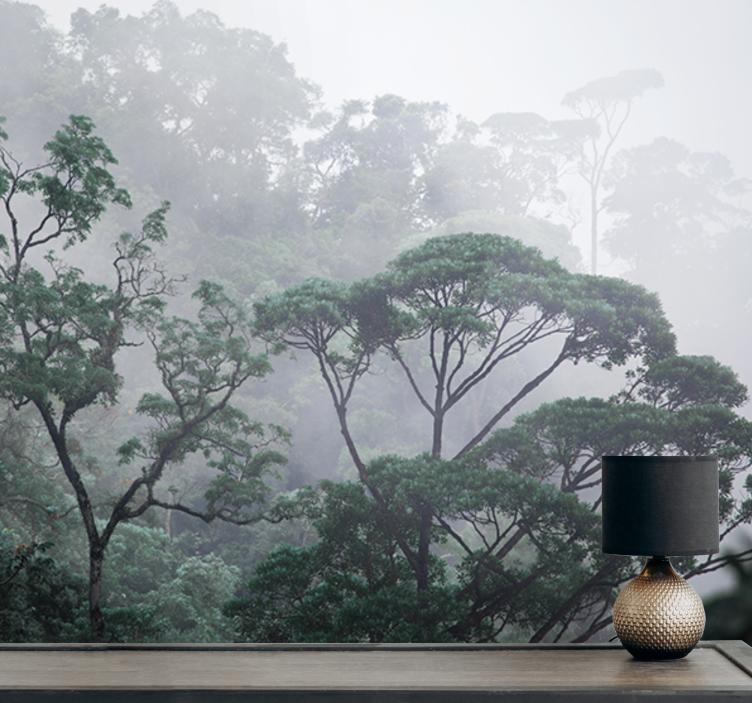 Fototapete wald nebelwald landschaft - TenStickers