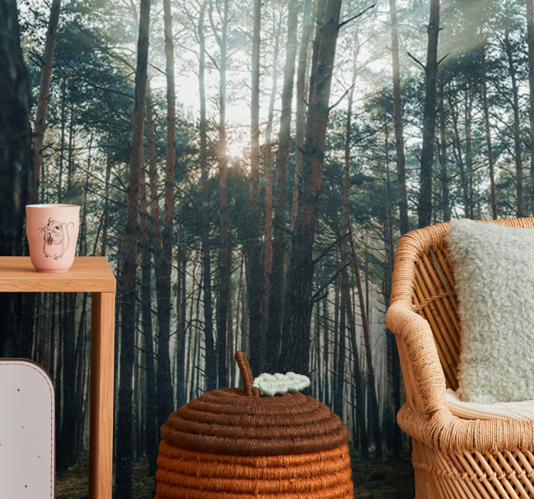 Fototapete wald ruhiger kieferngarten - TenStickers