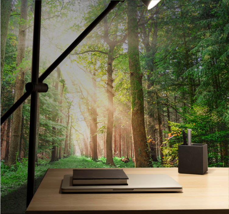 Fototapete wald ruhiger waldweg - TenStickers