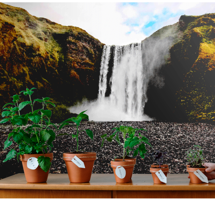 Fototapete Wasserfall majestätische wasserfallszene - TenStickers