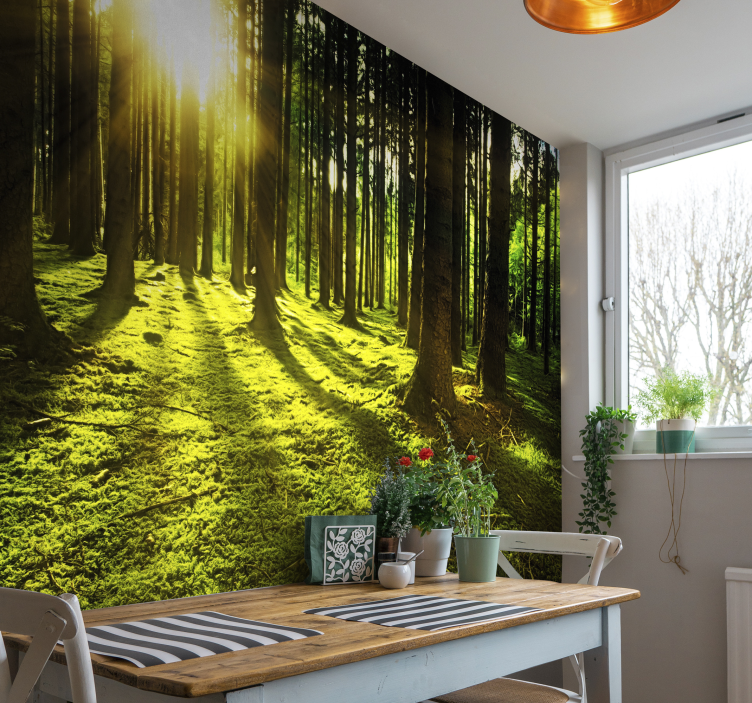 Magisches Wald Landschaft Fototapete Wohnzimmer - TenStickers
