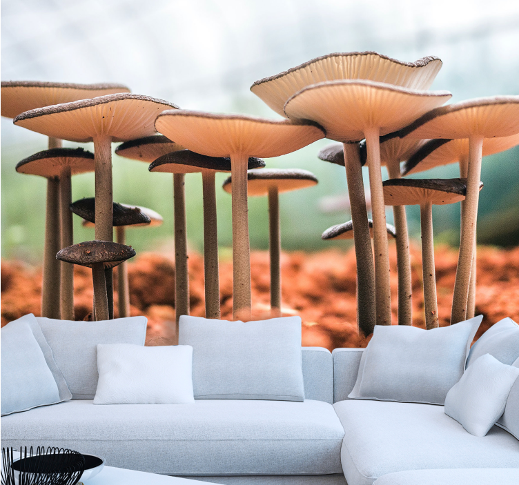 Weiterre Fototapeten pilz-cluster-szene - TenStickers