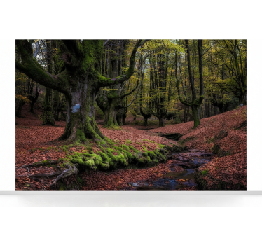 Tapete wald verzauberter herbstwald - TenStickers