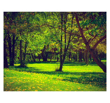 Fototapete Landschaft ruhiger waldblick - TenStickers
