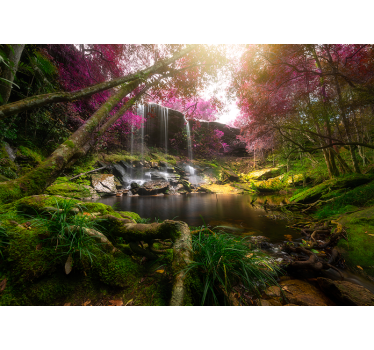 Wasserfall Fototapete Dschungelgebiet - TenStickers