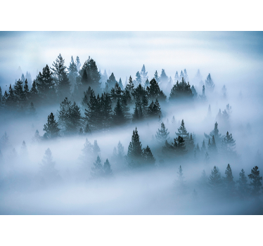Morgennebel Wald Fototapete - TenStickers