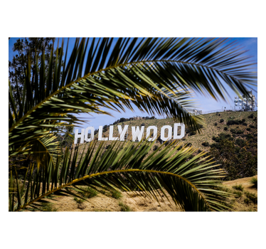 Hollywood Zeichen und Palme Fototapete Städte - TenStickers