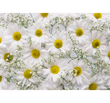Gänseblümchen Nahaufnahme Tapete Wohnzimmer - TenStickers