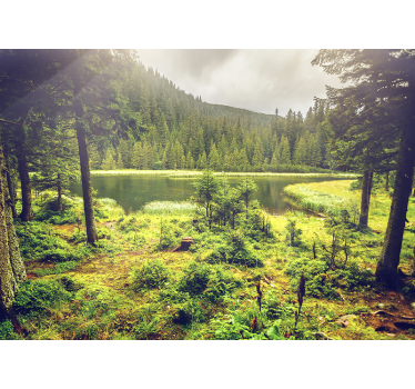Fototapete Natur grüne Bäume - TenStickers