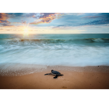 Fototapete Wohnzimmer Schildkröte an der Küste - TenStickers