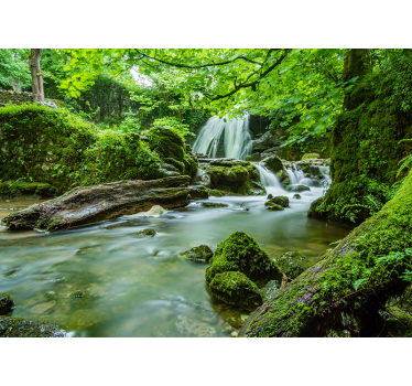 Tapete Wohnzimmer 3D Fluss im Wald Natur - TenStickers