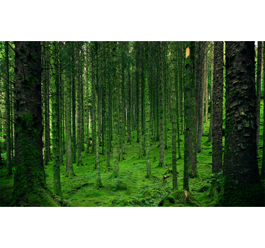 Fototapete wald im üppigen waldgrün - TenStickers