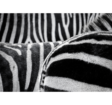 Fototapete Tiere realistische zebrastreifen - TenStickers