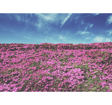 Fototapete Blumen leuchtend rosa blüten - TenStickers