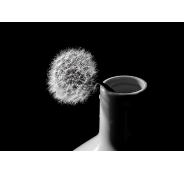 Fototapete Pusteblume löwenzahn in der vase - TenStickers