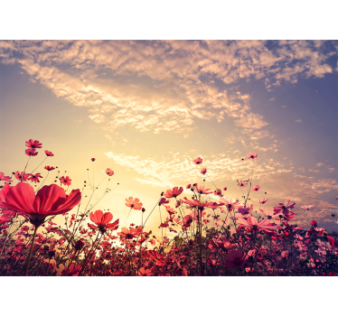 Fototapete Schlafzimmer Blumen Landschaft - TenStickers