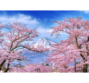 Fototapete Blumen Bergkirschblüte - TenStickers