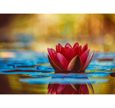 Fototapete magnolien elegante seerose - TenStickers