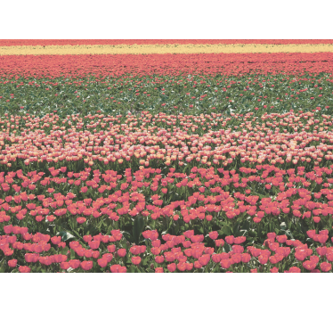 Fototapete blumen tulpenfeld landschaft - TenStickers