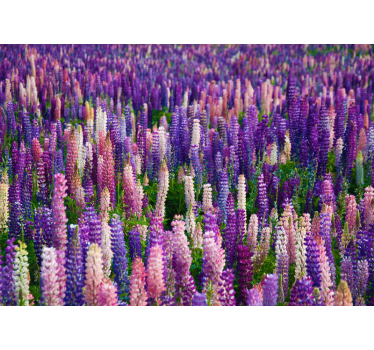 Fototapete blumen üppige lila blüten - TenStickers
