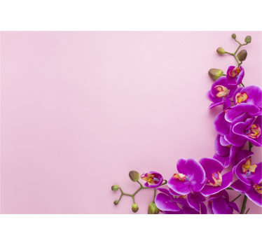 Fototapete orchidee blumengesteck orchidee - TenStickers