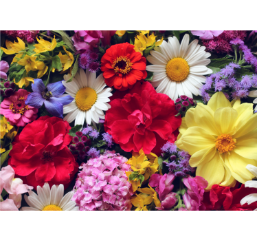Fototapete blumen lebendige blumenanordnung - TenStickers