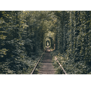 Fototapete landschaft eisenbahntunnel natur - TenStickers