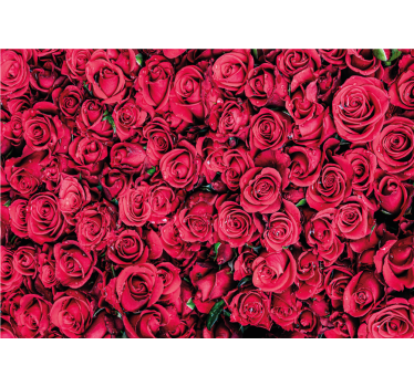 Fototapete rosen mit lebendigen rosenblüten - TenStickers