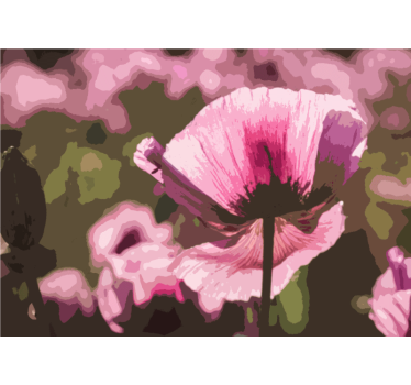 Fototapete mohnblumen pinker mohnblüten - TenStickers