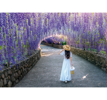 Fototapete blumen wisteria-blütenweg - TenStickers