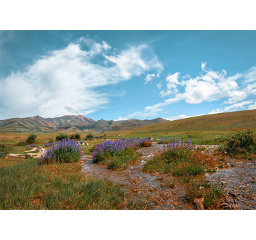 Fototapete Natur ruhige wiesenlandschaft - TenStickers