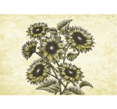 Fototapete blumen sonnenblumen komposition - TenStickers