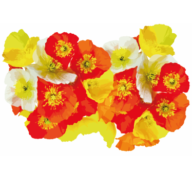 Fototapete blumen mohnblumen komposition - TenStickers