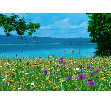 Fototapete blumen Üppige wiesenflora - TenStickers