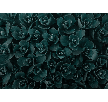 Fototapete blumen elegante rosenblüte - TenStickers