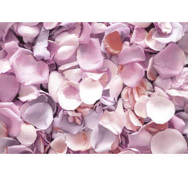 Fototapete blumen rosenblüten nahaufnahme - TenStickers