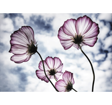 Fototapete blumen zarte florale schönheit - TenStickers