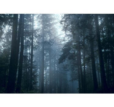 Tapete wald nebeliger immergrüner wald - TenStickers
