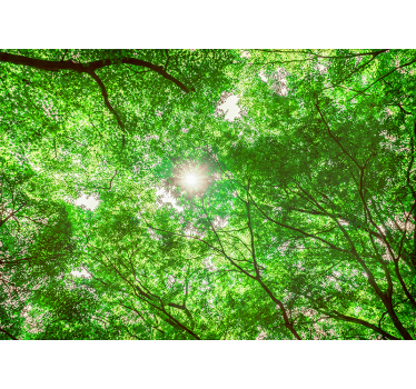 Fototapete natur blick auf das blätterdach - TenStickers