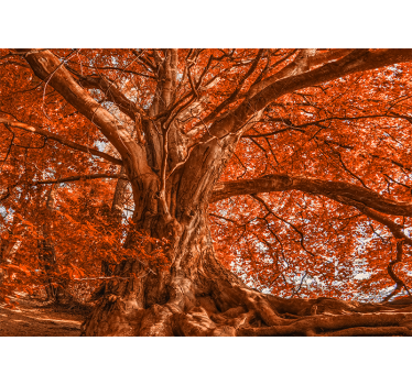 Fototapete baum majestätischer herbstbaum - TenStickers
