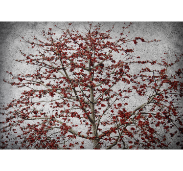 Fototapete blumen roter blütenbaum - TenStickers