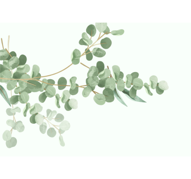 Fototapete blumen eukalyptusblatt arrangement - TenStickers